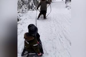 Паде један, падоше сви