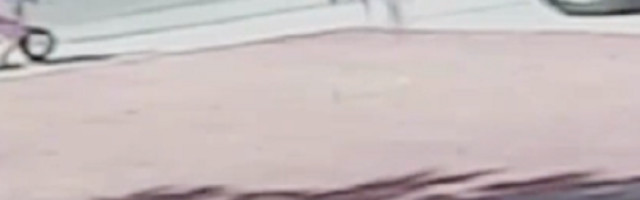 Dete spaseno u zadnji čas, ali ne od ruke čoveka! (UZNEMIRUJUĆI VIDEO)