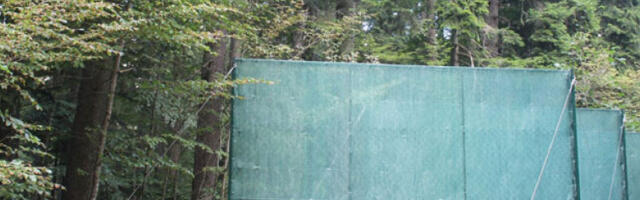 Српску шумотресаву чувају и хватачи магле