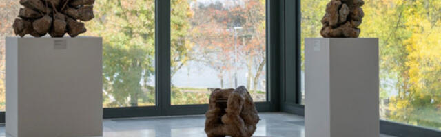 Фотографије и скулптуре у МСУБ-у