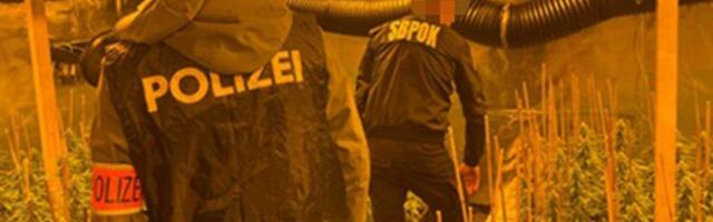 LUXURY WATCHES AND CARS, AND TONS OF DRUGS: How group from Serbia ran drug business in Europe for years