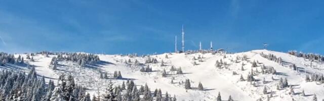 Šta to hoda po Kopaoniku? Čovek usnimio neobičnog stvora tokom šetnje, evo zašto je ovo dobar znak