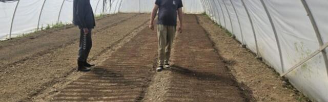 Cvetko ima skoro 90 godina, a radi od jutra do mraka: Sve što proizvede odmah proda, naručuju i za narednu godinu