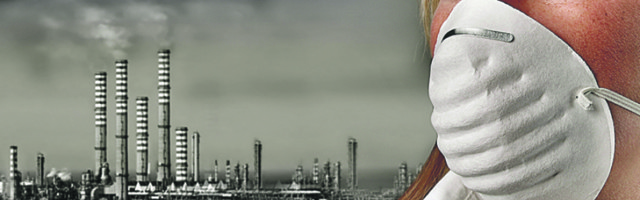 Ove biljke će vam obezbediti čist vazduh, a možete da ih držite u spavaćoj sobi!