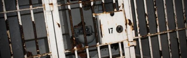 Uhapšeno 12 muškaraca osumnjičenih za pedofiliju i ekspert za zaštitu dece