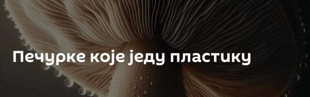 Печурке које једу пластику