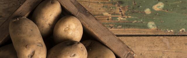 Da li je bezbedno jesti krompir koji je proklijao