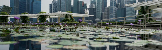 LIZAO SLAMČICU IZ AUTOMATA ZA SOK, PRETI MU ROBIJA: Bizaran incident u Singapuru