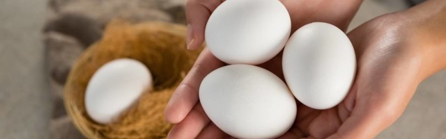 Najbolji i najbrži način da izbelite jaja pre farbanja za Uskrs