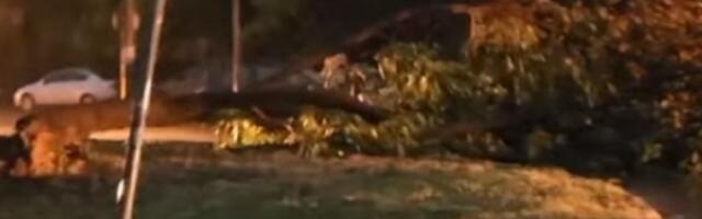 HOROR u Beogradu: Pada drveće, otpadaju delovi zgrade... (VIDEO)