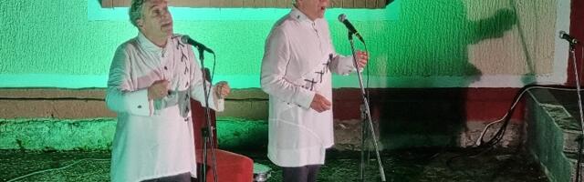 Žestival:Koncert Braće Teofilović