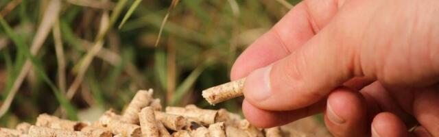 Šta je Srbima isplatljivije? Grejanje na drva ili pelet? Ovaj ogrev je ipak bolji za vaš dom!