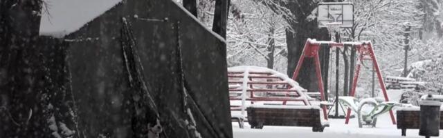 ANEM: MUP da zaštiti novinare od nasilnika iz Pionirskog parka