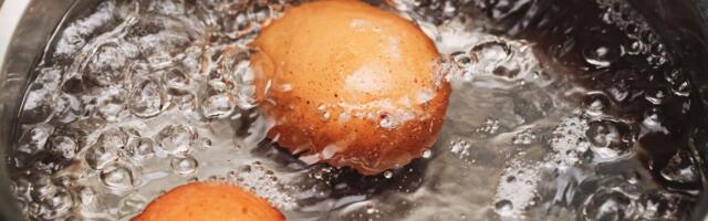 Nikada ne bacajte vodu u kojoj ste kuvali jaja: Trik od 0 dinara će spasiti vaše omiljene biljke