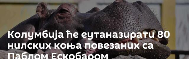Колумбија ће еутаназирати 80 нилских коња повезаних са Паблом Ескобаром