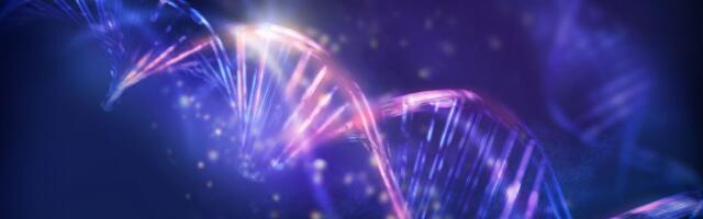 Izučavanje drevnih genoma otkriva iznenađujuće ubrzanje ljudske evolucije