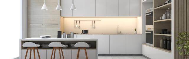 Moderne ideje: bela kuhinja i delikatni detalji