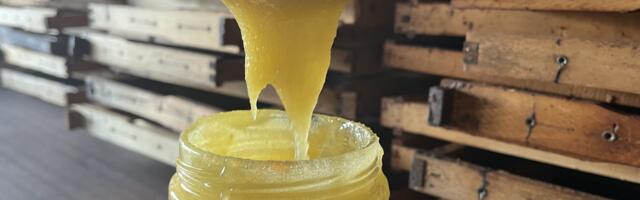 Pčelar iz Rače nakon skoro 100 godina pčelarenja od sada i online, za čitaoce imaju poseban poklon