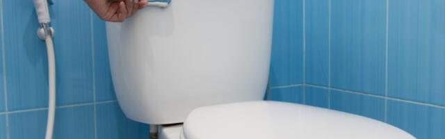 Trik oduševio milione! Ubacite ovu voćku u vodokotlić i uživajte u svežini kupatila najmanje 7 DANA (VIDEO)