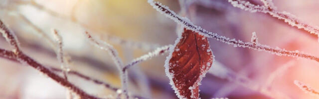 Ujutru i pre podne hladno i oblačno, ponegde sa snegom, sredinom dana razvedravanje