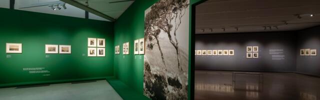 Godišnjica rođenja Save Šumanovića i posebno tematsko vođenje i predavanje „Pijana lađa Save Šumanovića“