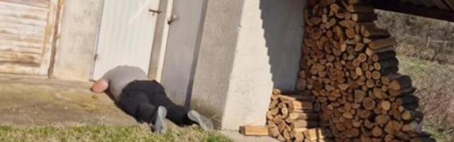 SCENA U VRANJU KAO IZ HORORA! Vlasnica se SLEDILA OD STRAHA ZBOG PRIZORA U DVORIŠTU! "5 godina je sigurno bilo tu"