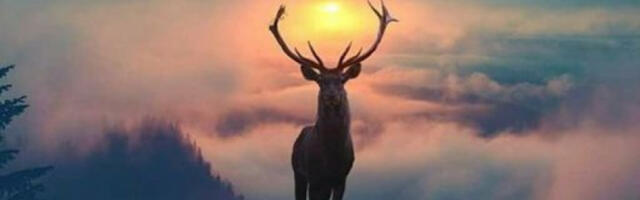 HOROSKOP ZA NEDELJU, 20. FEBRUAR Nesporazumi i konflikti na poslu za Jarca, pojačana nervoza za Škorpiju, novo ljubavno poglavlje za Ovna