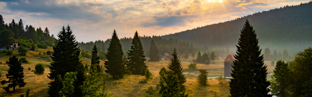 Nezaposlenost, pad izvoza, proizvodnje i turizma –  uticaj pandemije na privredu Srbije u aprilu