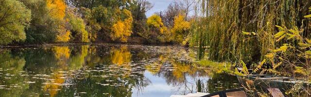 Gradiće se turistički kamp na Tamišu u Sečnju: Za prvu fazu radova 30 miliona dinara