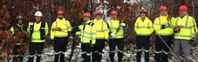 ČUVANJE VERE I TRADICIJE! Rudari doneli badnjak u duhu starih običaja!