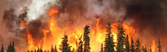 Učestali požari u Beogradu: U Srbiji osigurana svaka deseta nekretnina