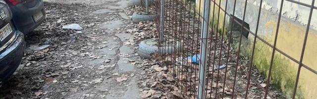 VIDEO: Proći peške pored Pupinove kuće zaista je pravi podvig