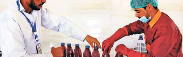 Здравствени статус странаца није у надлежности НЗС-а