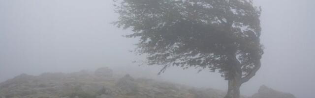 RAZORNA OLUJA ODNOSI SVE PRED SOBOM! Ima MRTVIH, preko 80 osoba povređeno – vetrovi preko 100 km/h ruše krovove i drveće, građanima upućeno UPOZORENJE! (FOTO, VIDEO)