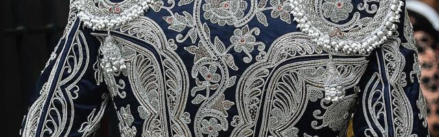 Bik ubio penzionisanog matadora