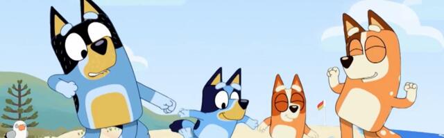 BLUI i njenu porodicu iz brutalne australijske divljine prate milioni dece: Kojoj RASI pripadaju ovi psi?