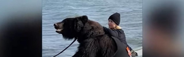 Veronika spasila medveda od smrti i sad sa njim ide na mesta gde drugi ne bi poveli ni psa