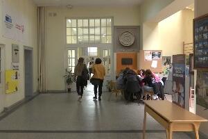 Школе мегдан за обрачунe - треба ли професорима статус службеног лица