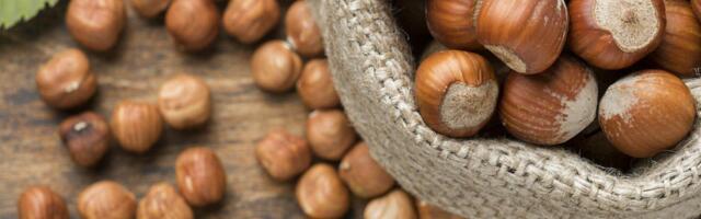 Leska, token i budućnost: Treesury pokazao kako izgleda nova ekonomija održive poljoprivrede