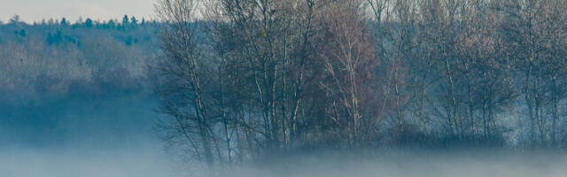 Магла у већем делу земље, током дана слаба киша