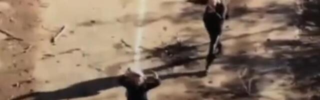 RUSKA STRANA TVRDI I PRILAŽE DOKAZE: Ima mrtvih! Ukrajinska vojska pucala na naše civile dok su sa belim maramicama izlazili iz Pokrovska! (VIDEO)