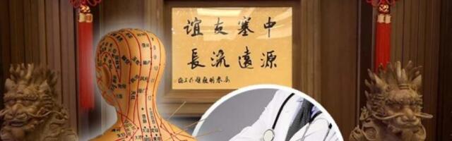 SRBIJA I KINA JAČAJU SARADNJU: Beograd domaćin prvog evropskog treninga tradicionalne kineske medicine