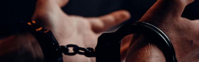 У Панчеву ухапшене две особе због стављања у промет меса зараженог трихинелозом