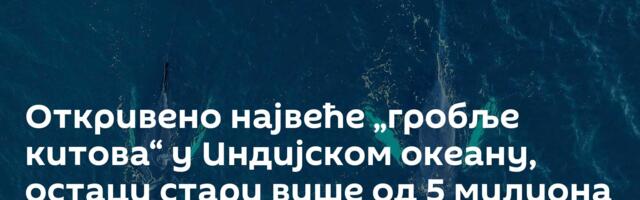 Откривено највеће „гробље китова“ у Индијском океану, остаци стари више од 5 милиона година