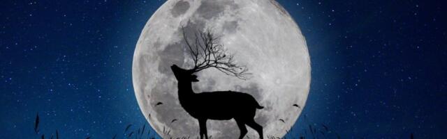 Najtačniji nedeljni horoskop od 26. jula do 2. avgusta: Pun Jelenov Mesec menja život 4 znaka