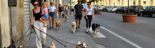 Zašto Italija ima sve manje dece, a sve više kućnih ljubimaca?
