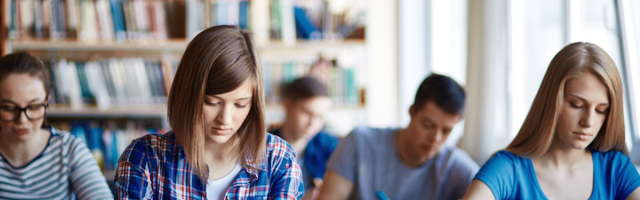 OKVIR STRATEGIJE: Srednja škola postaje obavezna, kao osnovna