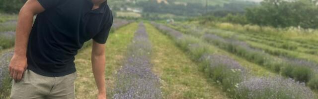 Bojan umesto šljiva i kajsija odlučio da gaji ovu biljku: Od nje pravi nesvakidašnji liker