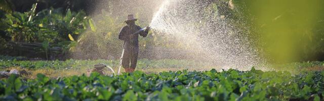 Rat u Iranu izaziva globalnu nestašicu đubriva i ugrožava cene hrane