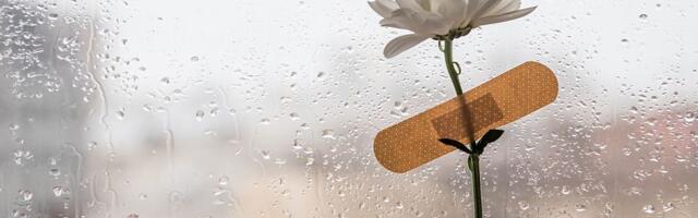 Muškarcu koji je ubio sina i ranio suprugu 13 i po godina zatvora: "Na ovom slučaju bi se moglo učiti"